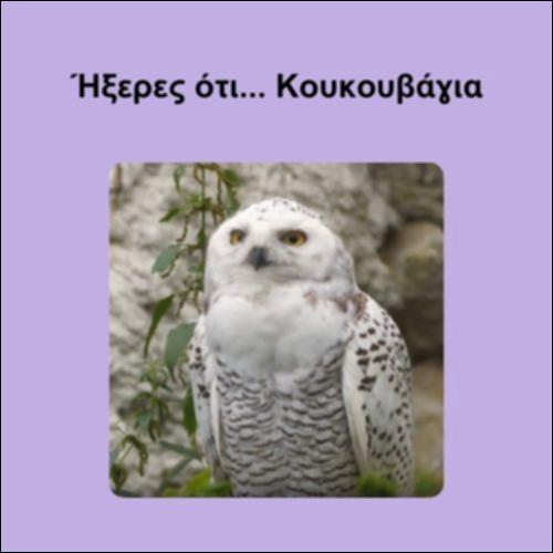 Ήξερες ότι... Κουκουβάγια_icon