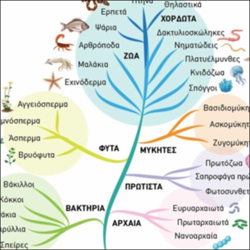 Φυλογενετικό Δένδρο_icon