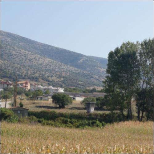 Το νεολιθικό Ντικιλί Τας_icon