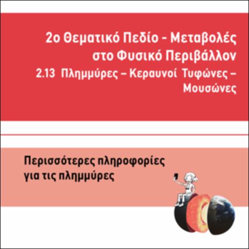 ΠΕΡΙΣΣΟΤΕΡΕΣ ΠΛΗΡΟΦΟΡΙΕΣ ΓΙΑ ΤΙΣ ΠΛΗΜΜΥΡΕΣ_icon