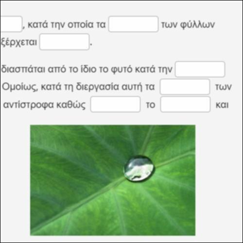 Διαπνοή_icon