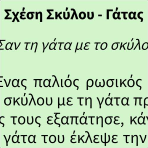 Σχέση Σκύλου - Γάτας_icon