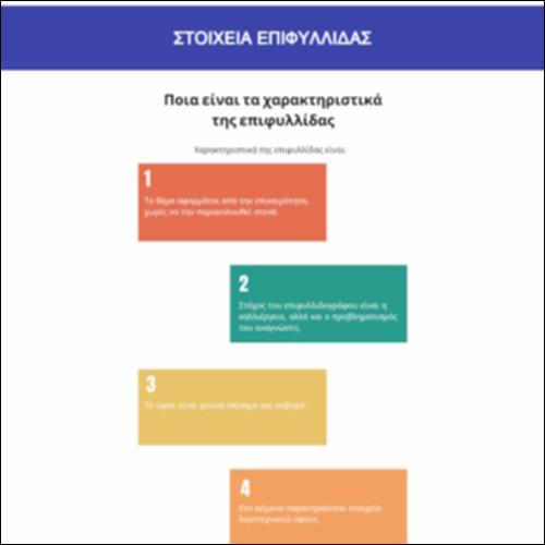 Στοιχεία επιφυλλίδας_icon