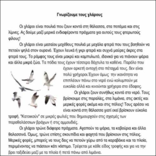 Γνωρίζουμε τους γλάρους_icon