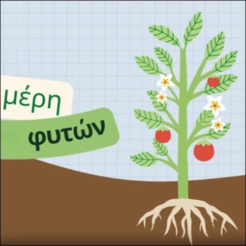 Τα μέρη ενός φυτού_icon