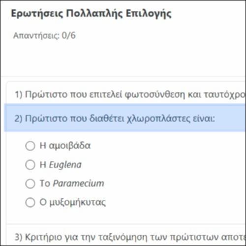 Ερωτήσεις Πολλαπλής Επιλογής_icon