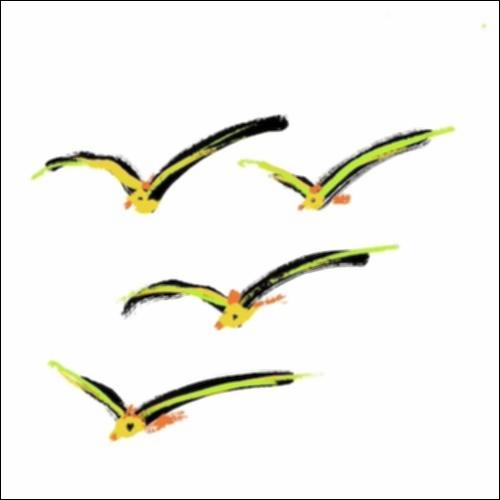 Γλωσσάρι με τα είδη των πουλιών_icon