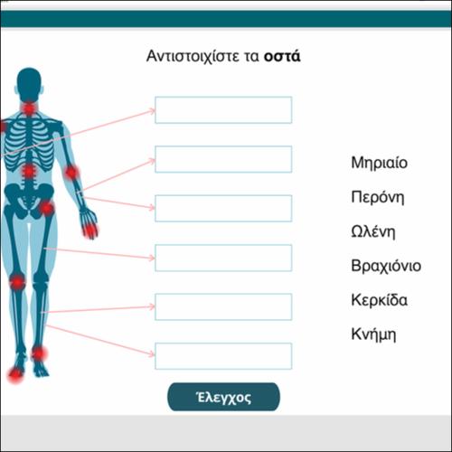 Αντιστοίχισε τα οστά_icon