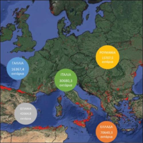 Καμένες περιοχές Natura 2000 το 2023_icon