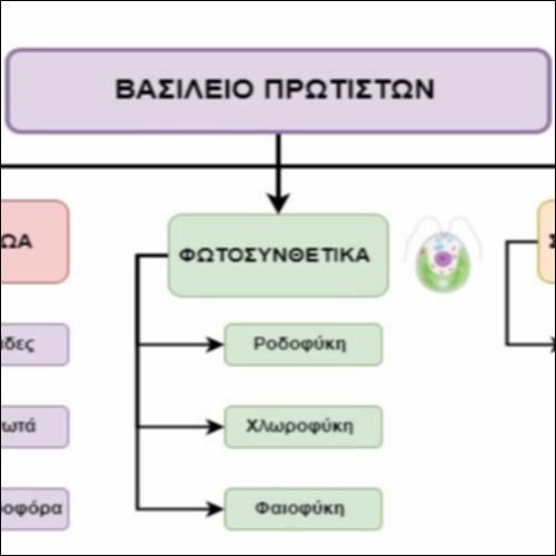 Βασίλειο πρώτιστων_icon