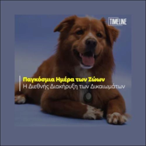 Δικαιώματα των ζώων_icon