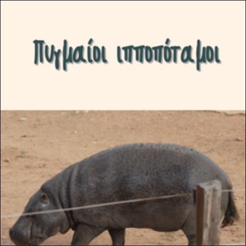 ΠΥΓΜΑΙΟΙ ΙΠΠΟΠΟΤΑΜΟΙ_icon