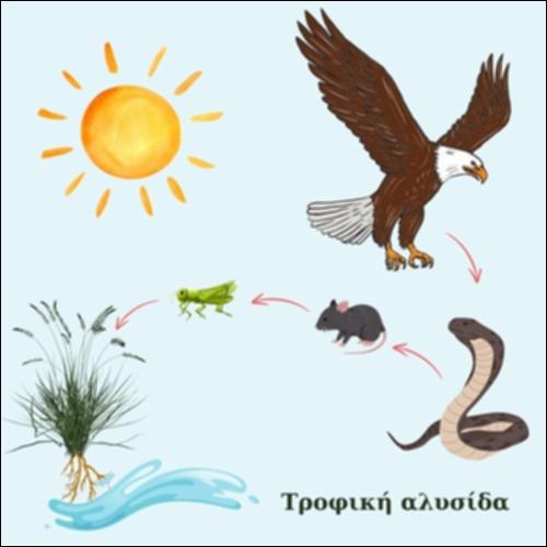 Τροφική αλυσίδα_icon