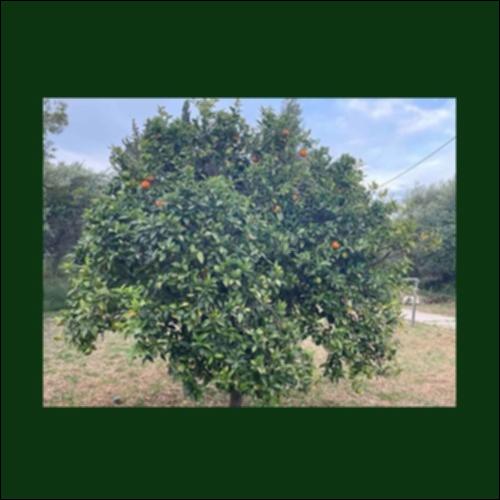 Κλιματική αλλαγή. Με αφορά;_icon