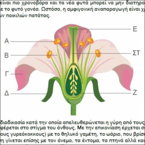 Απαντήσεις ασκήσεων_icon