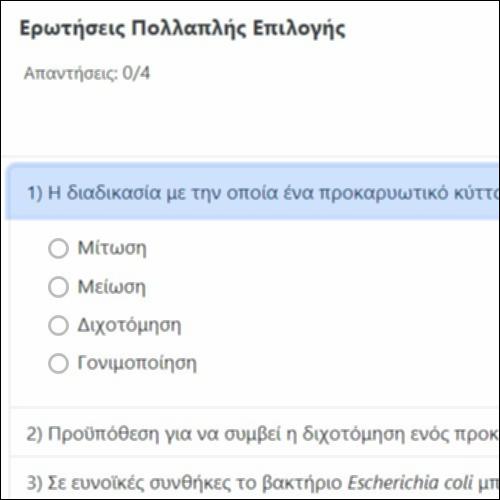 Ερωτήσεις Πολλαπλής Επιλογής_icon