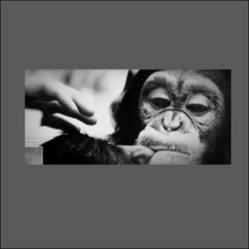 Πείραμα Νιμ Τσίμπσκι_icon