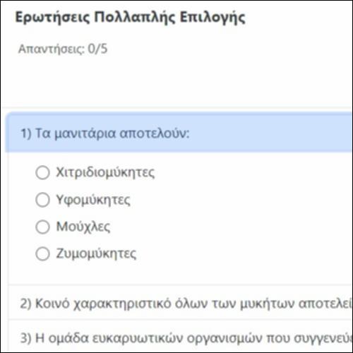 Ερωτήσεις Πολλαπλής Επιλογής_icon