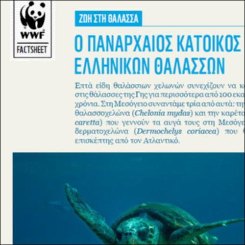 Ο πανάρχαιος κάτοικος των ελληνικών θαλασσών_icon