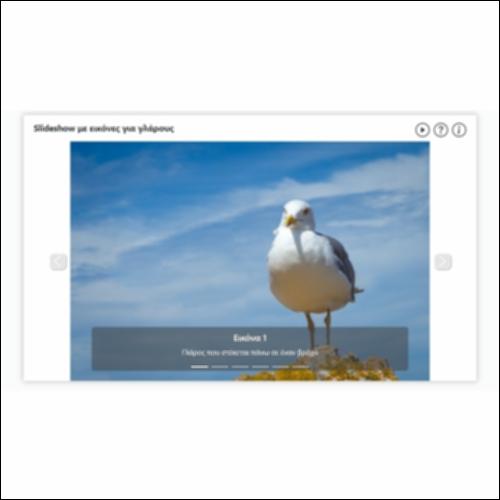 Slideshow με εικόνες για γλάρους_icon