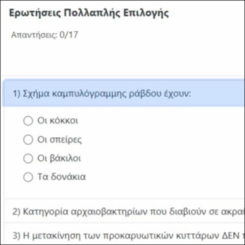 Ερωτήσεις Πολλαπλής Επιλογής_icon