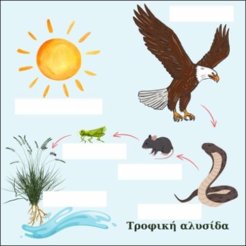 Τροφική αλυσίδα με λέξεις που λείπουν_icon