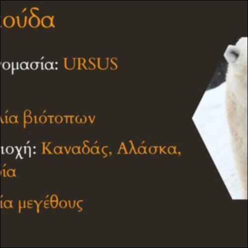 Πολική αρκούδα_icon