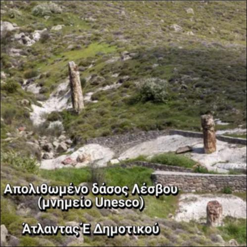 Απολιθωμένο δάσος Λέσβου_icon